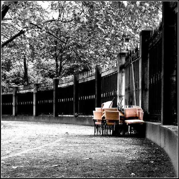 Stühle | Chairs