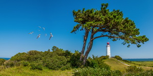 Lighthouse - Hiddensee