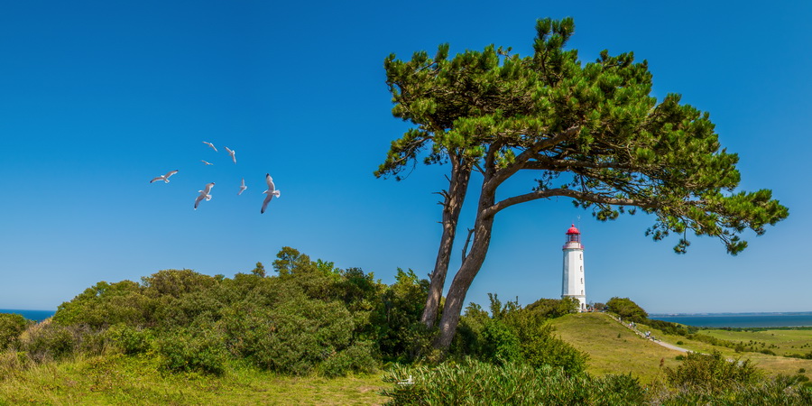 Lighthouse Hiddensee